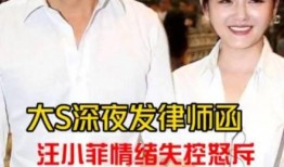 台媒吃瓜汪小菲视频,豪门生活原来如此