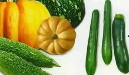 七染吃瓜视频,揭秘娱乐圈幕后真相，带你领略明星们的真实生活