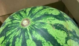 真假吃瓜的视频