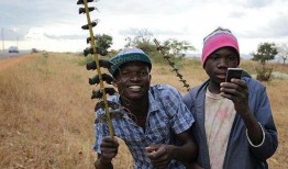 非洲网红吃瓜图片视频在线观看,趣味视频图片大集合