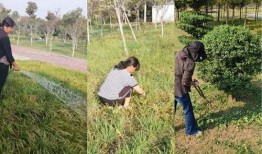 镇平赵河公园吃瓜视频,吃瓜群众欢乐多