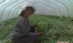 江苏泰州欺凌吃瓜视频,吃瓜视频揭露惊人一幕