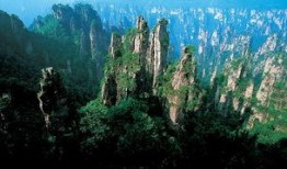 张家界结婚女的吃瓜视频,张家界新娘吃瓜视频引发热议