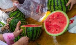 安徽吃瓜视频大全集,趣味横生的地方特色美食之旅