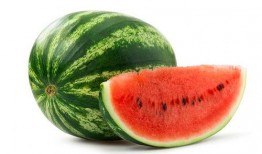 哈密瓜绿角蛙可以吃吗视频,视频揭秘蛙类美食新选择