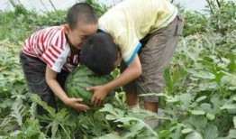 礼县吃瓜网红事件视频曝光,视频曝光引发网友热议