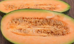 四龙吃哈密瓜视频大全,视频盛宴尽享瓜香四溢