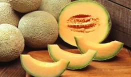 哈密瓜能做菜吃吗视频