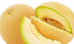 丽哥吃哈密瓜视频大全,甜蜜瞬间大盘点