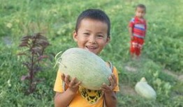 吃瓜群众小孩子视频,吃瓜群众小孩子的欢乐瞬间