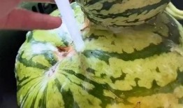 小黄吃瓜搞笑视频大全下载,欢乐时刻一网打尽