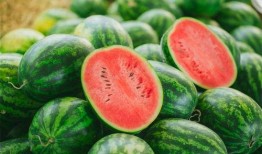 儿童吃瓜视频好不好看,趣味横生的视觉盛宴