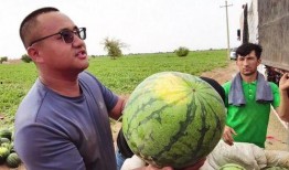 吃瓜骗局大全图片视频,图片视频中的陷阱与真相