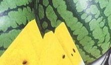 盐城东台吃瓜事件视频,一场引发热议的网络视频风波