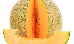 吃脆哈密瓜视频播放大全