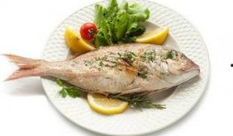 折耳鱼不呼吸吃瓜视频,不呼吸也能吃瓜的神奇生物