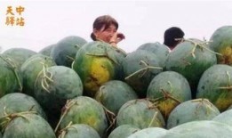 买卖黄金现场吃瓜视频,买卖黄金现场，吃瓜群众围观热议