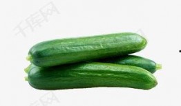 燕子吃芥末瓜视频大全免费观看