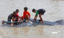 渔民开船吃瓜的故事视频,意外发现海中奇观！