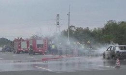 女子吃瓜被交警罚款视频,意外走红网络