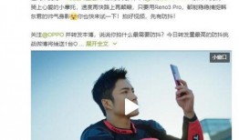 情人节吃瓜群众挑战视频,甜蜜瓜语背后的趣味对决