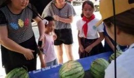 南京业主群视频吃瓜事件,一场吃瓜引发的社区热议