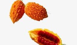 优质头像吃瓜视频下载,揭秘热门吃瓜视频背后的优质头像下载攻略