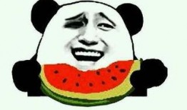 门主吃瓜视频,揭秘娱乐圈幕后故事