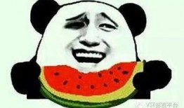 驴姐吃瓜搞笑视频,笑料横生，搞笑视频带你欢乐一整天！