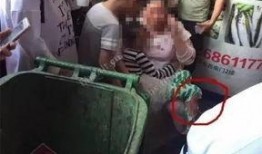 江苏泰州欺凌吃瓜视频,吃瓜视频揭露惊人一幕