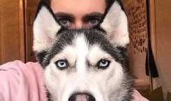 二哈可以吃吊瓜吗图片视频,一场视觉盛宴