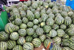 宁波小孩吃瓜视频,萌态十足引网友热议