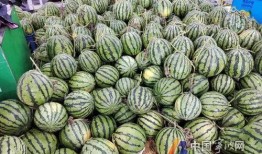 宁波小孩吃瓜视频,萌态十足引网友热议