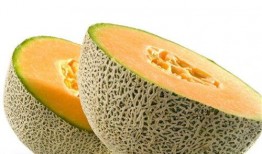 女猴吃哈密瓜视频大全,趣味视频大盘点