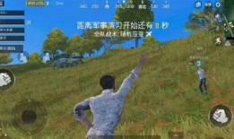 胖大瓜早期吃鸡视频大全