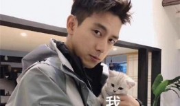 李现吃瓜完整视频,揭秘娱乐圈幕后真相