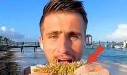 吃瓜新闻配音搞笑视频,笑料百出，带你领略“瓜界”风云