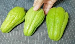 康县网红吃瓜原视频,揭秘当地美食文化魅力