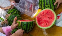 国内吃瓜视频网站,热门事件、趣味内容一网打尽