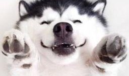 吃瓜群众吃瓜现场视频大全,吃瓜群众吃瓜视频大全精彩瞬间