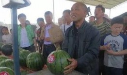 罗马群众吃瓜视频,揭秘古罗马街头娱乐盛况