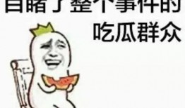 吃瓜群众刘静静视频在线观看,揭秘娱乐圈幕后故事