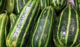 梢瓜怎么吃视频,视频教你轻松烹饪