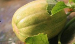 吃瓜原神开盒视频,吃瓜观众直呼过瘾！