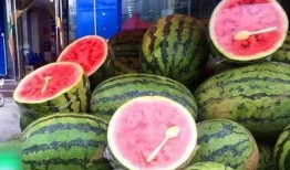 二小姐水果店吃瓜视频,揭秘水果界的“瓜界风云”