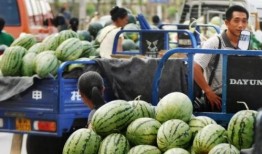 融奥星城吃瓜视频,揭秘幕后真相，带你走进事件核心