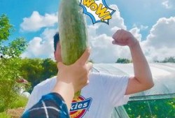 网红的吃瓜视频在哪看啊,热门平台一览