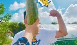 网红的吃瓜视频在哪看啊,热门平台一览