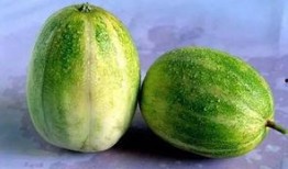 吃瓜原神开盒视频,吃瓜观众直呼过瘾！