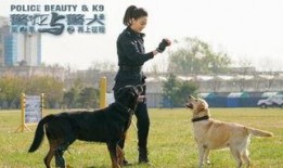 警花与警犬吃瓜视频,甜蜜互动，吃瓜群众见证温馨警犬日常